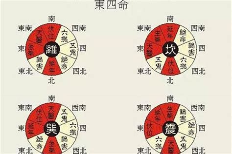 东四命西四命算法|何为东四命，西四命？怎么计算？一看就会